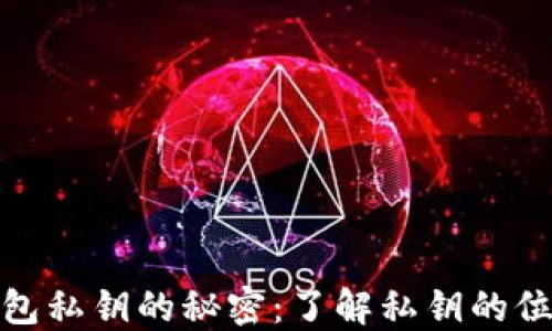 
探索比特币钱包私钥的秘密：了解私钥的位数及其重要性