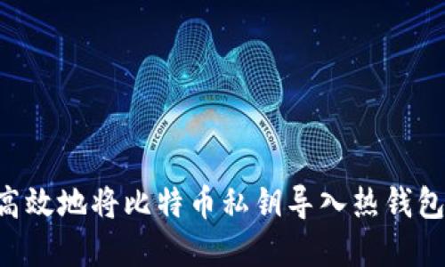 如何安全高效地将比特币私钥导入热钱包：完整指南