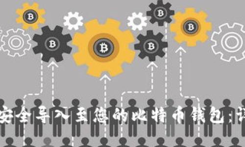 如何将比特币安全导入至您的比特币钱包：详细指南与技巧