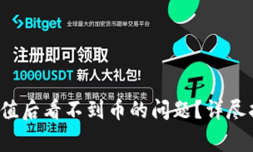  如何解决TP钱包充值后看不到币的问题？详尽指南与常见疑问解答