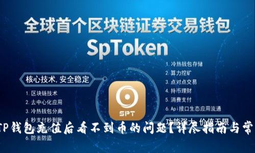  如何解决TP钱包充值后看不到币的问题？详尽指南与常见疑问解答