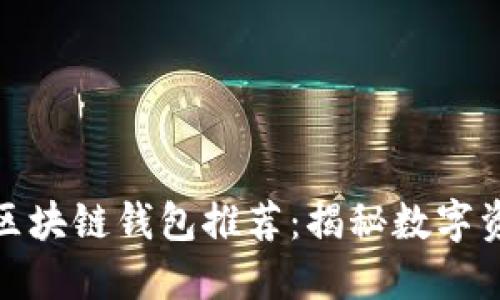 十大最安全的区块链钱包推荐：揭秘数字资产的保护之道