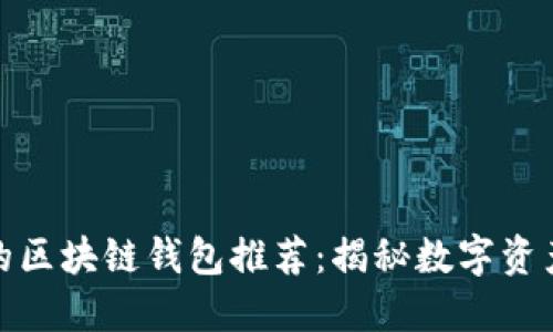 十大最安全的区块链钱包推荐：揭秘数字资产的保护之道