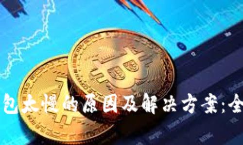 下载狗狗币钱包太慢的原因及解决方案：全面解析与指南