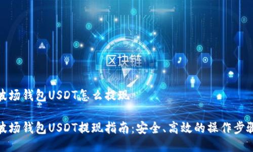 波场钱包USDT怎么提现

波场钱包USDT提现指南：安全、高效的操作步骤