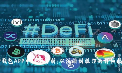 TP钱包APP申请全解析：从注册到操作的详细指南