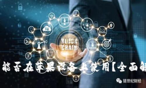 安卓USDT钱包能否在苹果设备上使用？全面解析与应用指南