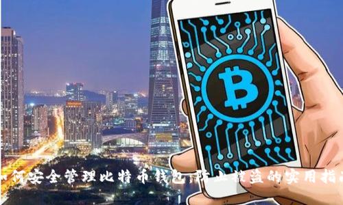 如何安全管理比特币钱包：防止被盗的实用指南
