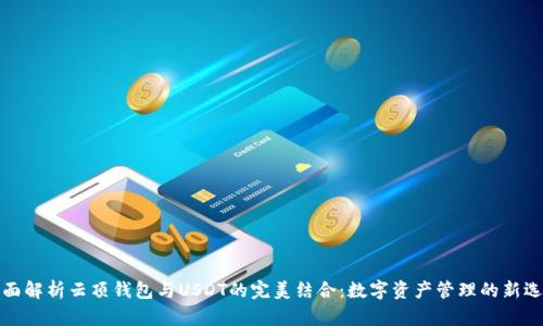 全面解析云顶钱包与USDT的完美结合：数字资产管理的新选择