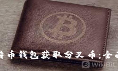 如何通过比特币钱包获取分叉币：全面指南与策略
