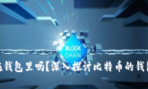 : 比特币存放在钱包里吗？深入探讨比特币的钱包类型与安全性