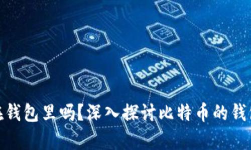 : 比特币存放在钱包里吗？深入探讨比特币的钱包类型与安全性