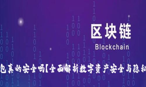 TP钱包真的安全吗？全面解析数字资产安全与隐私保护