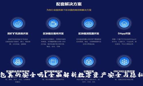 TP钱包真的安全吗？全面解析数字资产安全与隐私保护