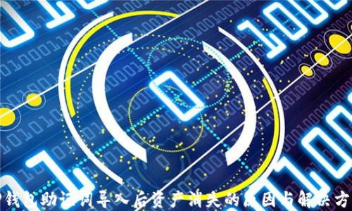 
TP钱包助记词导入后资产消失的原因与解决方案