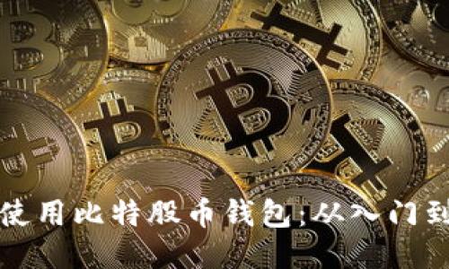 如何安全高效地使用比特股币钱包：从入门到精通的全面指南