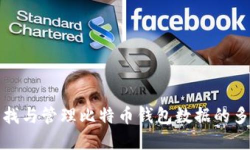 如何寻找与管理比特币钱包数据的多种途径