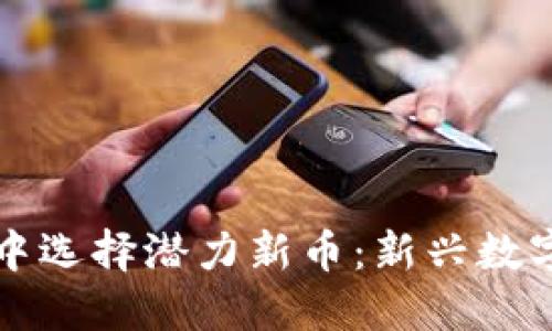如何在TP钱包中选择潜力新币：新兴数字资产投资指南