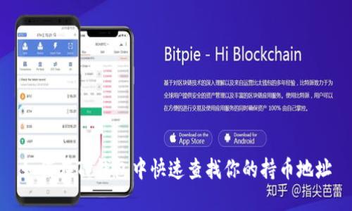 如何在TP钱包中快速查找你的持币地址