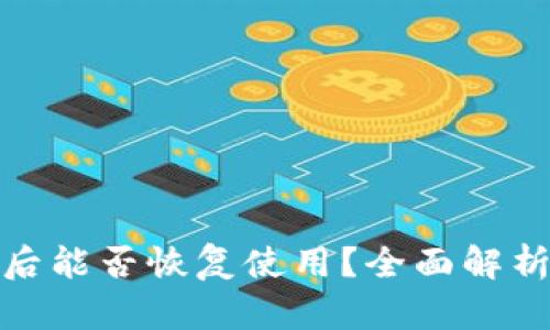 tp钱包被盗后能否恢复使用？全面解析及应对策略