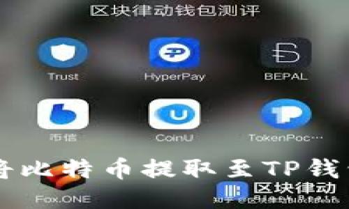 中本聪如何将比特币提取至TP钱包的详细指南