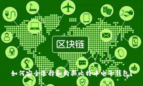 如何安全选择和购买比特币电子钱包？