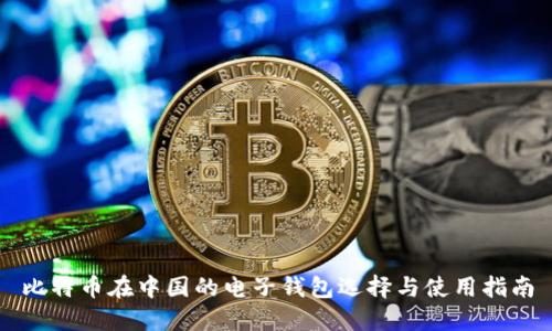 比特币在中国的电子钱包选择与使用指南