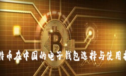 比特币在中国的电子钱包选择与使用指南
