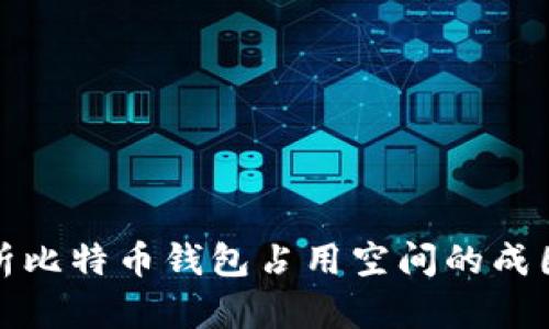 深入解析比特币钱包占用空间的成因与策略