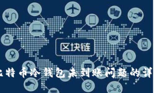 解决比特币冷钱包未到账问题的详细指南