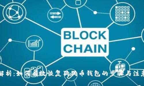 全面解析：如何有效恢复狗狗币钱包的步骤与注意事项