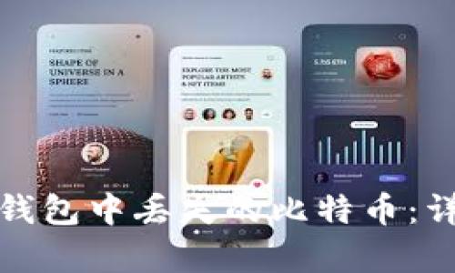 如何快速恢复麦子钱包中丢失的比特币：详细指南与实用技巧