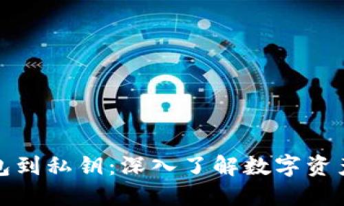 从比特币钱包到私钥：深入了解数字资产安全的核心