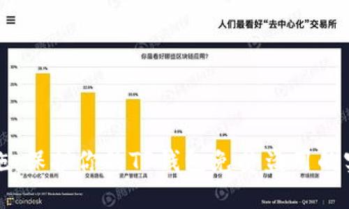 安全措施：保护你的TP钱包免受盗用的实用指南