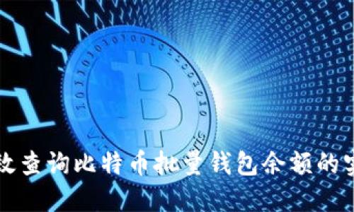 如何高效查询比特币批量钱包余额的实用指南