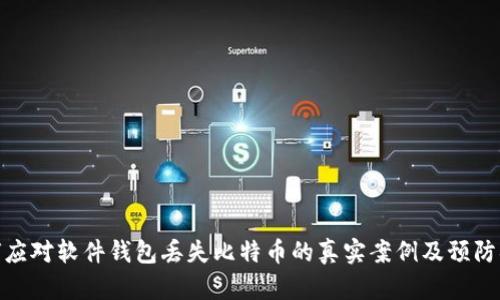 如何应对软件钱包丢失比特币的真实案例及预防措施