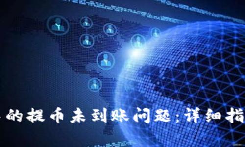 如何解决TP钱包中的提币未到账问题：详细指南与常见因素分析