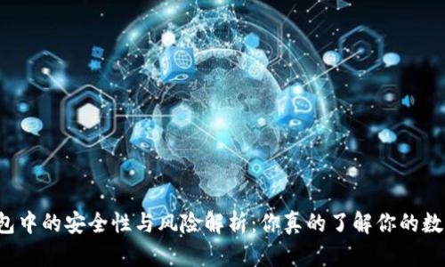 比特币钱包中的安全性与风险解析：你真的了解你的数字资产吗？