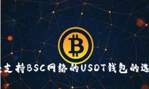 深入分析：支持BSC网络的USDT钱包的选择与比较