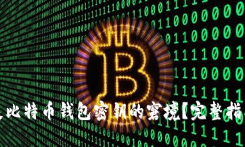 如何应对丢失比特币钱包密钥的窘境？完整指南与应对策略