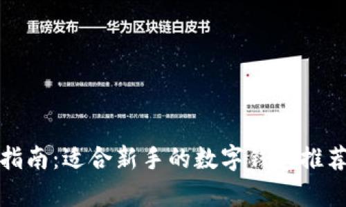 泰达币购买指南：适合新手的数字钱包推荐与使用技巧