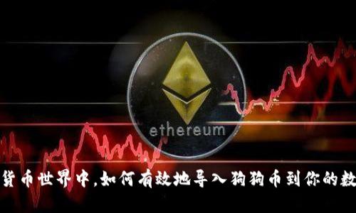 在数字货币世界中，如何有效地导入狗狗币到你的数字钱包