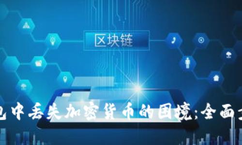 如何应对TP钱包中丢失加密货币的困境：全面步骤与解决方案