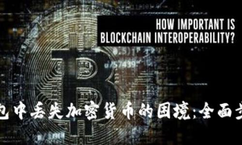 如何应对TP钱包中丢失加密货币的困境：全面步骤与解决方案