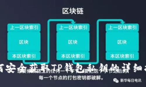 如何安全获取TP钱包私钥的详细指南
