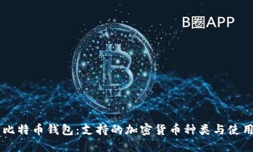 了解比特币钱包：支持的加密货币种类与使用技巧