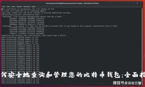 如何安全地查询和管理您的比特币钱包：全面指南