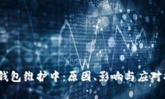 中币USDT钱包维护中：原因、影响与应对措施全解