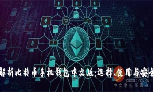 全面解析比特币手机钱包中文版：选择、使用与安全指南