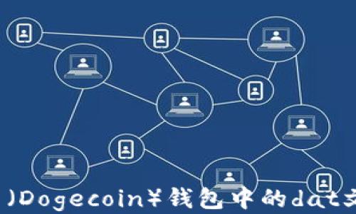 
如何找到狗狗币（Dogecoin）钱包中的dat文件？全方位指南